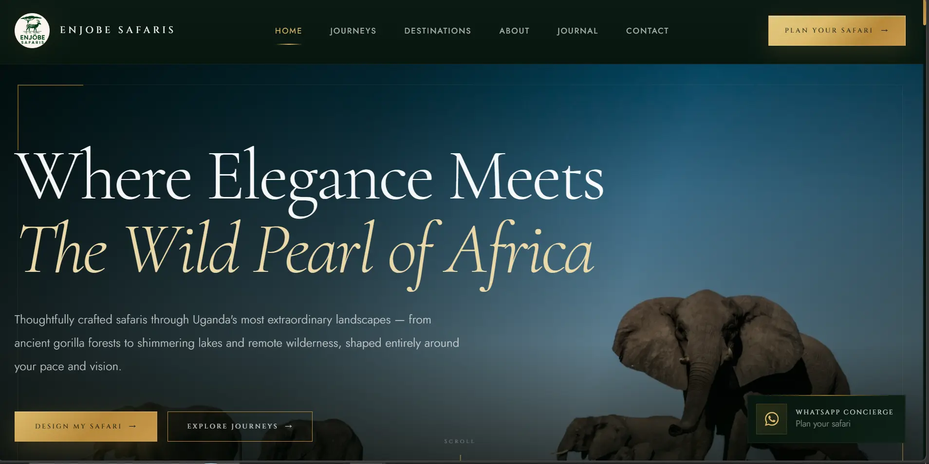 Screenshot of Enjobe Safaris website homepage
