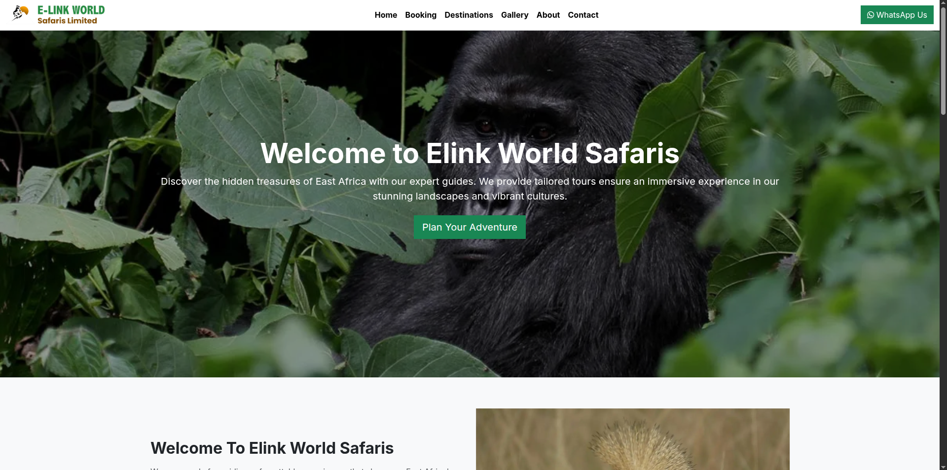 Screenshot of Elink World Safaris website