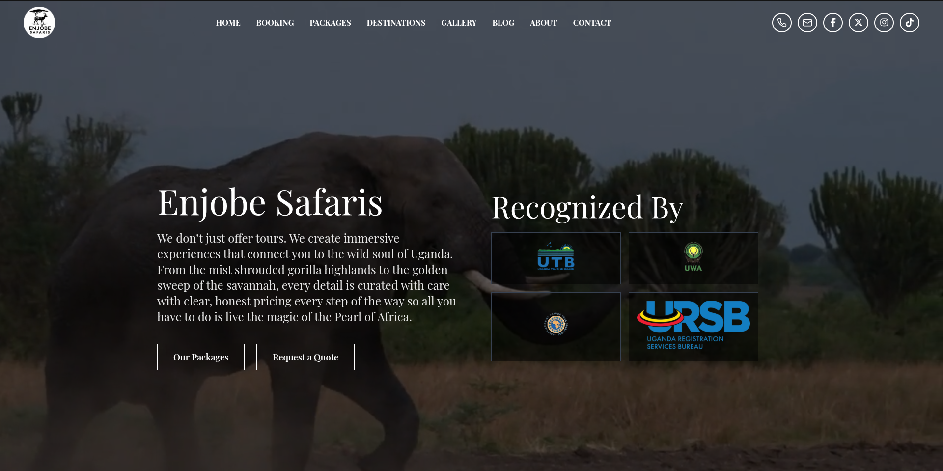 Screenshot of Enjobe Safaris website
