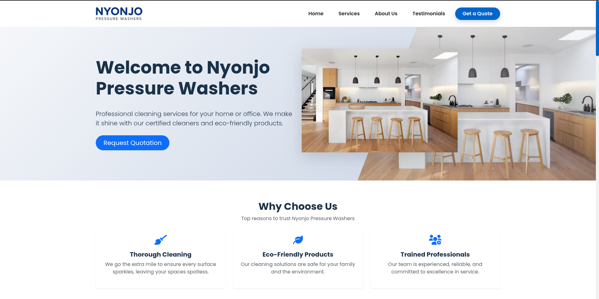 Screenshot of Nyonjo Pressure Washers website