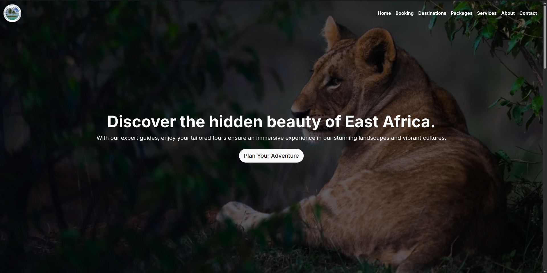Screenshot of Okido Tours and Travel website
