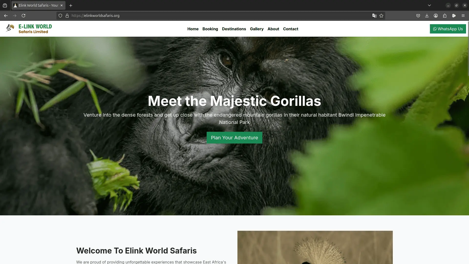 Elink World Safaris Website