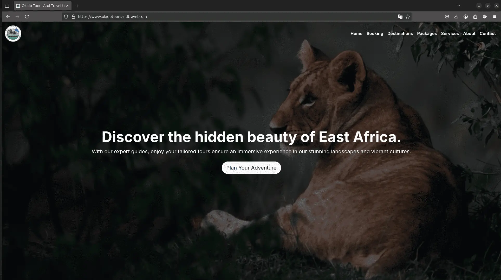 Okido Tours & Travel Website
